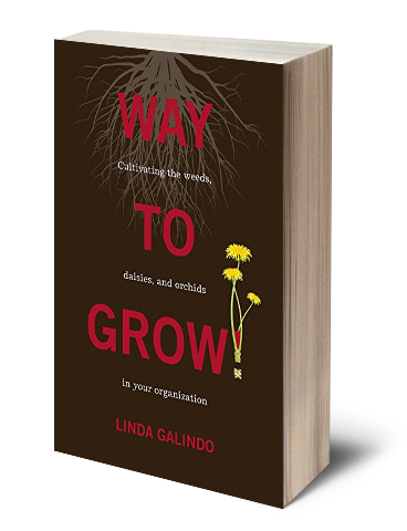 Author Book